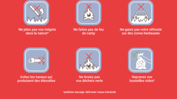 90% des incendies de foret sont d'origine humaine